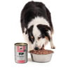 WILLIAM'S Carni+ Getreidefreies Nassfutter für Hunde mit Schweinefleisch