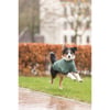 Sweatshirt CityStyle Amsterdam für Hunde - Dunkelgrün