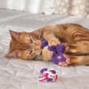KONG Cat Active Rope rouge et violet pour chat