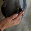SecureHorse Flash phéromone apaisante pour chevaux 10x5ml