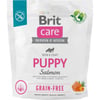 BRIT Care Grain-free Puppy com salmão para filhote