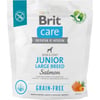 Brit Care Grain-Free Junior Large Breed de salmón y patata para perros de razas grandes