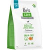 BRIT Care Grain-Free Adult Large Breed met zalm en aardappelen voor grote rassen honden