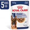 Royal Canin Maxi Ageing Wet para perros mayores