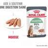 Royal Canin digestive care en mousse pour chat adulte