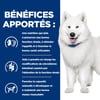 HILL'S Prescription Diet k/d j/d Kidney + Mobility mit Huhn für Hunde