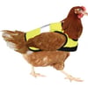 Sicherheitsjacke für Hühner