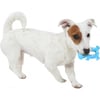 Latex speelgoed Geluidmakende Schildpad voor puppy's