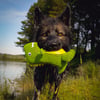 Brinquedo flutuante Zolia Ducky para cão 