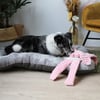 Peluche sonore XXL Zolia Peppa pour chien