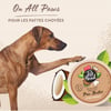 Kokosnussbutter für Hundeballen - On All Paws Pet Head