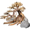 Dennerle Decor Box Bonsai décoration pour aquariums