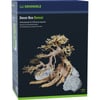 Dennerle Decor Box Bonsai decoratie voor aquariums