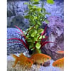Tirol Künstliche Aquarien-Lotus-Pflanze
