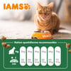 IAMS Advanced Nutrition croquettes pour chat adulte à l'agneau