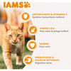 IAMS Advanced Nutrition croquettes pour chat adulte au saumon