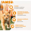 IAMS Advanced Nutrition croquettes pour chat senior au poulet frais