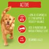 Friskies Active met rundvlees voor volwassen honden