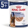 Royal Canin Maxi Ageing 5 ans et plus en mousse