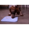 Tapis à lécher pour chien - 2 tailles disponibles