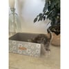 Griffoir pour chat en carton DIY Zolia TropiCat Printemps