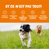 ZESTY PAWS Supporto Immunitario & Pelle per cane adulto