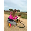 CANI GEAR Ceinture ventrale Symbioz