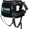 CANI GEAR Buikgordel Olympia