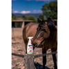 NoCleg protection taons, moustiques et moucherons pour chevaux