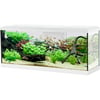 Kit aquarium TANA LED 100cm - 120L