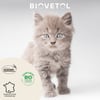 BIOVETOL Pipetas inseticida orgânico para gato e gatinho