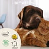 BIOVETOL Baume Bio apaisant & nourrissant pour chien et chat