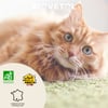 BIOVETOL Comprimés bien-être intestinal bio pour chat / chaton