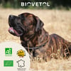 BIOVETOL Poudre régul'transit bio pour grand chien