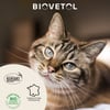 BIOVETOL Lotion Destruct'Urine bio pour chat