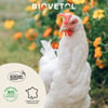 BIOVETOL Diatomeenerde+ bio für Geflügel