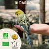 BIOVETOL Poudre bien-être intestinal bio pour oiseaux 