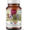 GASCO Shampoing soluble Tout Pelage chien