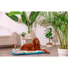 Coussin pour corbeille Sleeper confort One Jungle