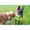 Frisbee pour chien - 2 tailles disponibles