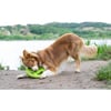 Frisbee pour chien - 2 tailles disponibles