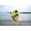 Jouet ZEPPELIN pour chien - 2 tailles disponibles