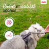 HALTI Harnais Anatomy pour chien - Gris