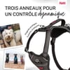 HALTI Harnais Anatomy pour chien - Gris