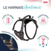 HALTI Harnais Anatomy pour chien - Gris