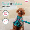 HALTI Harnais Anatomy pour chien - Bleu sarcelle