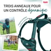 HALTI Harnais Anatomy pour chien - Bleu sarcelle