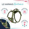 HALTI Harnais Anatomy pour chien - Vert