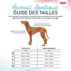 HALTI Harnais Anatomy pour chien - Vert