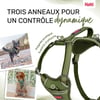 HALTI Harnais Anatomy pour chien - Vert